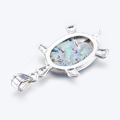 Abalone Shell/Paua ShellJewelry Sets X-SJEW-P089-02-1