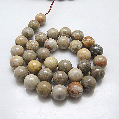 Natural Fossil Coral Beads Strands X-G-G212-8mm-31-1