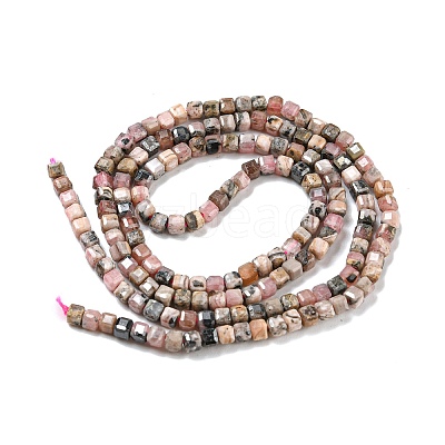 Natural Rhodonite Beads Strands G-Q1005-F-01-1