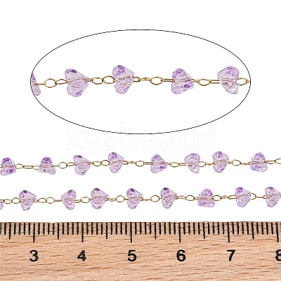 Glass & 304 Stainless Steel Beaded Chains SA-CBAD321-04D-1
