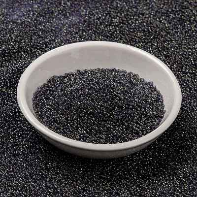 MIYUKI Round Rocailles Beads X-SEED-G009-RR2447-1