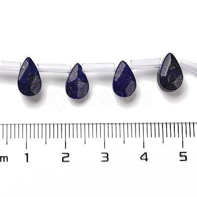 Natural Lapis Lazuli Beads Strands G-Q167-A25-02-1
