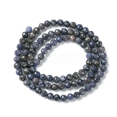 Natural Sapphire Beads Strands G-F748-M01-02-1