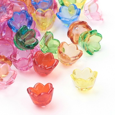 Transparent Acrylic Beads PL548M-1