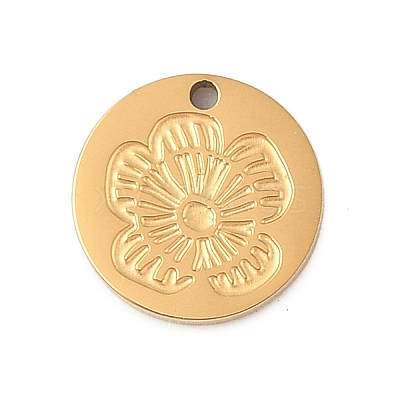 304 Stainless Steel Charms STAS-P377-04G-B-1