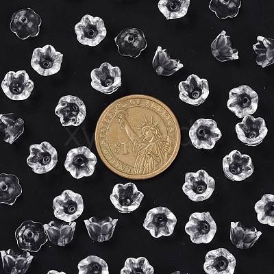 Transparent Acrylic Beads X-PL548-1-1