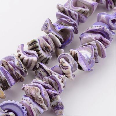 Natural Shell Bead Strands BSHE-P010-01-1