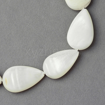 Natural Sea Shell Beads Strands X-SSHEL-Q296-43-1