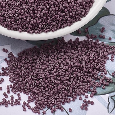 MIYUKI Delica Beads SEED-MY11-DB2295-1