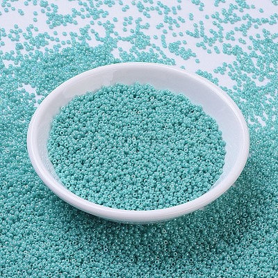 MIYUKI Round Rocailles Beads SEED-G007-RR0485-1
