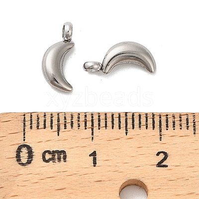 304 Stainless Steel Charms LS-STAS-M017-14C-P-1-1