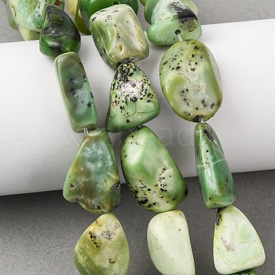 Natural Serpentine Beads Strands G-D098-C06-1