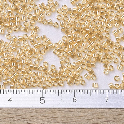 MIYUKI Delica Beads SEED-J020-DB0099-1