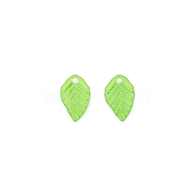 Transparent Acrylic Charms X-TACR-T012-04-1