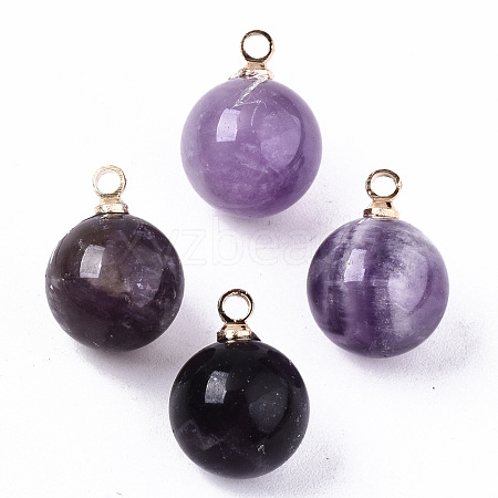 Natural Amethyst Charms X-G-N332-024G-10-1