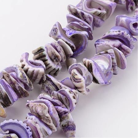 Natural Shell Bead Strands BSHE-P010-01-1