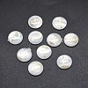 Shell Cabochons SSHEL-E568-B26-2