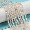 Natural Rainbow Moonstone Beads Strands G-A097-A02-03-2