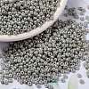 MIYUKI Round Rocailles Beads X-SEED-G008-RR1866-1