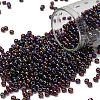 TOHO 8/0 Round Beads SEED-TR08-0166C-1