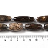 Natural Mexican Lace Agate Beads Strands G-NH0010-I03-02-01-3