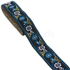 Flat Ethnic Style Embroidery Polyester Ribbons PW-WG12916-06-1