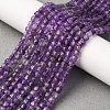 Natural Amethyst Beads Strands G-R460-028C-1