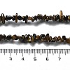 Natural Tiger Eye Chip Beaded Necklaces for Men Women NJEW-G159-01X-5