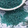 MIYUKI Delica Beads SEED-MY11-DB2380-1