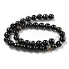 Natural Black Agate Beads Strands G-G391-10mm-01-5