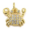 Marine Theme Rack Plating Brass Micro Pave Cubic Zirconia Pendants KK-I718-28G-02-1