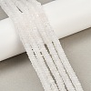 Natural Quartz Crystal Beads Strands G-Q159-B29-01-1