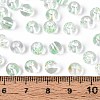 Baking Paint Transparent Glass Beads DGLA-T004-08G-4