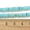 Dyed Natural Freshwater Shell Beads Strands X1-BSHE-G039-07C-4