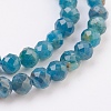 Natural Apatite Beads Strands G-F568-135-4mm-3