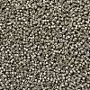 MIYUKI Delica Beads X-SEED-J020-DB1159-3