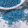 MIYUKI Delica Beads X-SEED-J020-DB0692-1