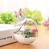 Transparent Plastic Fillable Ball Pendants Decorations XMAS-PW0002-02A-03-1