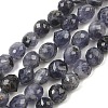Natural Cordierite/Iolite/Dichroite Beads Strands GG-CBA9A7F-A02-2
