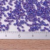 MIYUKI Delica Beads Small SEED-X0054-DBS0880-4