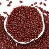 Baking Paint Glass Seed Beads SEED-L011-09A-24-2