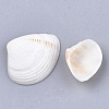 Clam Shell Beads SSHEL-S258-49-2