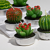 Cactus Paraffin Smokeless Candles DIY-G024-F-8