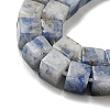 Natural Blue Spot Jasper Beads Strands G-C129-A03-01-4