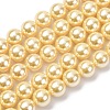 Electroplated Shell Pearl Beads Strands BSHE-G041-8mm-01-1