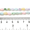 Rainbow Color Dyed Natural Freshwater Shell Beads Strands SHEL-G018-02H-4
