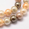 Shell Pearl Bead Strands LS-BSHE-L017-12-3