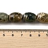 Tibetan Style dZi Beads Strands G-S389-A04-5