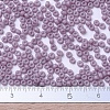 MIYUKI Round Rocailles Beads X-SEED-G007-RR2037-4