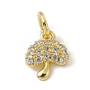 Brass Micro Pave Cubic Zirconia Charms ZIRC-F132-19G-1